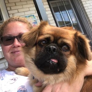 Meet your Posher, Abi